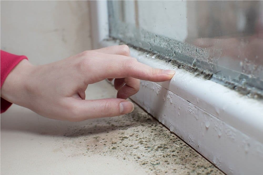 Home Needs Replacement Windows