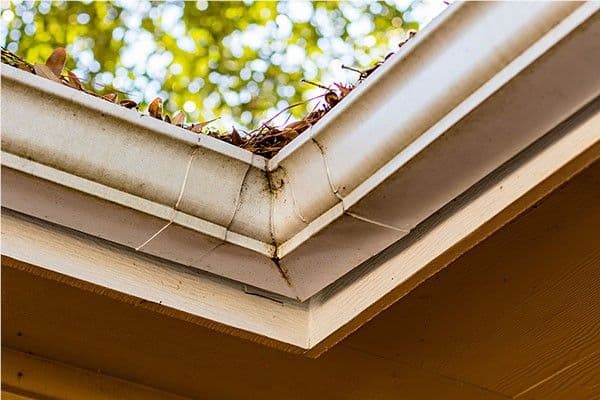 Gutter Guards